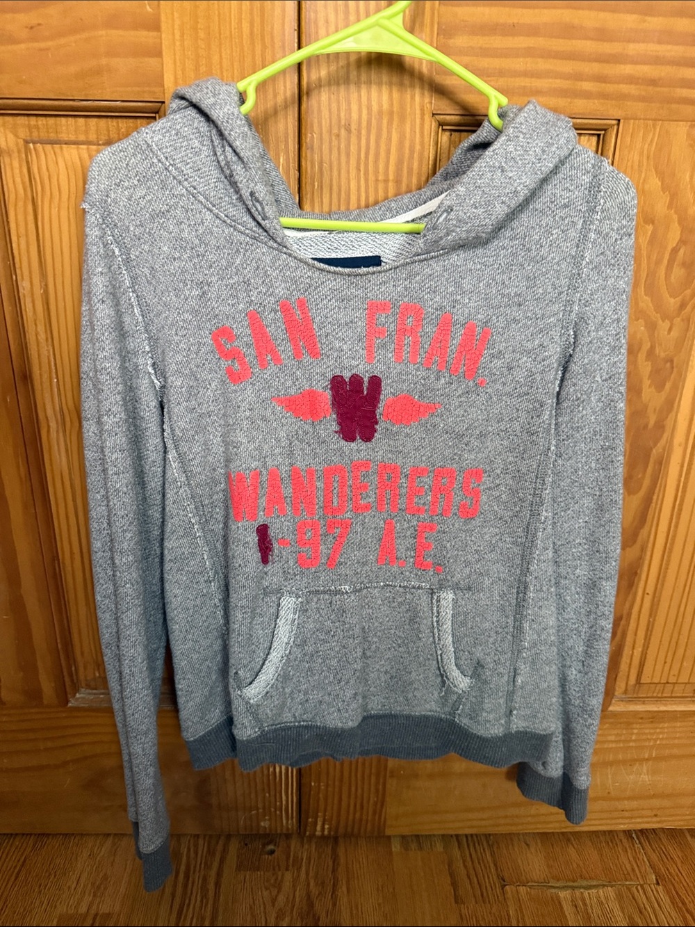 American Eagle Outfitters Gray Hooded Sweater with Pink Graphic